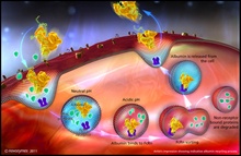 Novozymes Biopharma